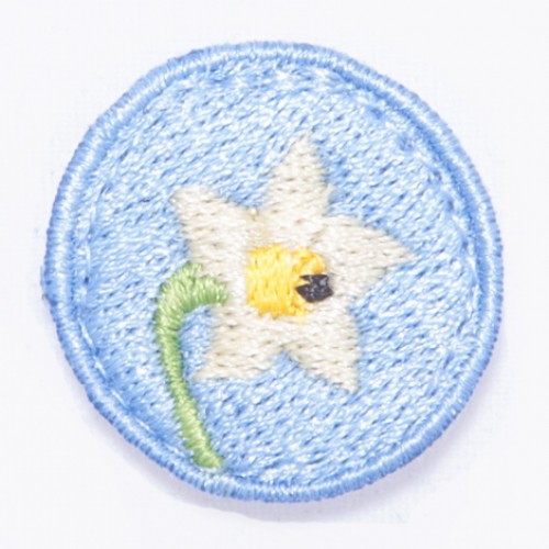 Kvet narcis / šírka 2,5 cm x 2,5 cm výška / 